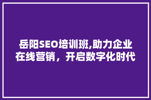 岳阳SEO培训班,助力企业在线营销，开启数字化时代新篇章