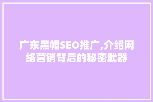 广东黑帽SEO推广,介绍网络营销背后的秘密武器