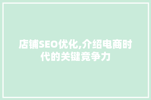 店铺SEO优化,介绍电商时代的关键竞争力
