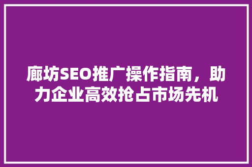 廊坊SEO推广操作指南，助力企业高效抢占市场先机