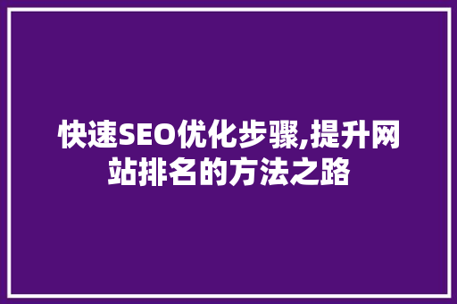 快速SEO优化步骤,提升网站排名的方法之路