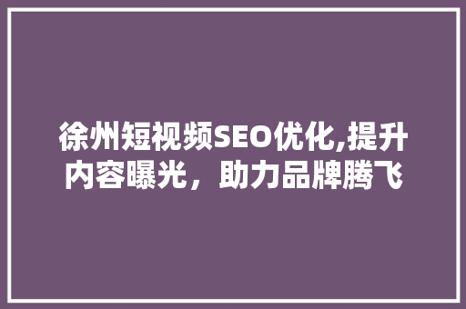 徐州短视频SEO优化,提升内容曝光，助力品牌腾飞