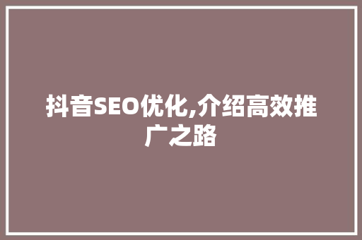 抖音SEO优化,介绍高效推广之路