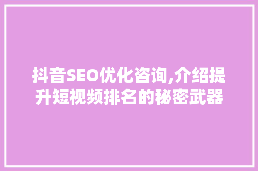 抖音SEO优化咨询,介绍提升短视频排名的秘密武器