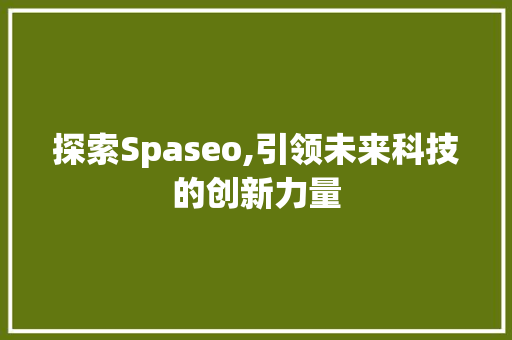 探索Spaseo,引领未来科技的创新力量