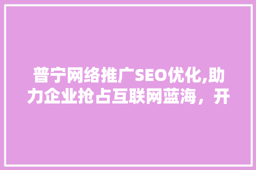 普宁网络推广SEO优化,助力企业抢占互联网蓝海，开启品牌新篇章