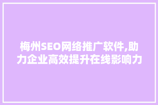梅州SEO网络推广软件,助力企业高效提升在线影响力