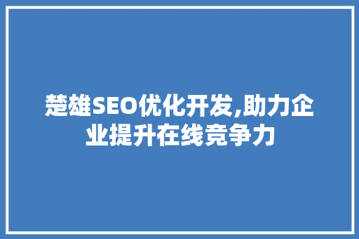 楚雄SEO优化开发,助力企业提升在线竞争力