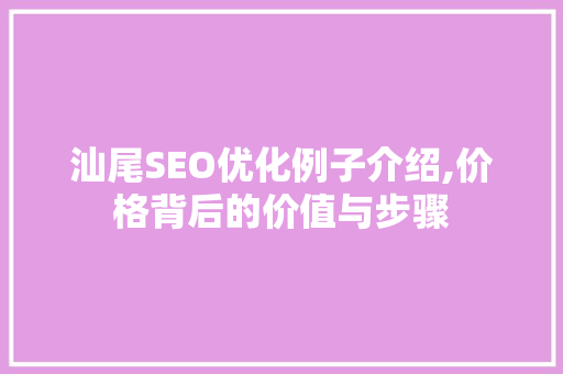 汕尾SEO优化例子介绍,价格背后的价值与步骤