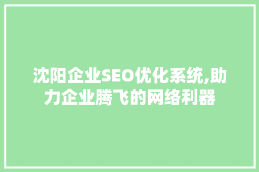 沈阳企业SEO优化系统,助力企业腾飞的网络利器