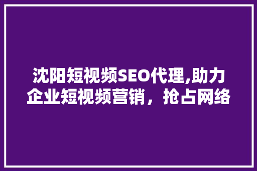 沈阳短视频SEO代理,助力企业短视频营销，抢占网络流量高地
