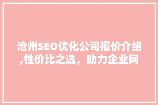 沧州SEO优化公司报价介绍,性价比之选，助力企业网络营销腾飞