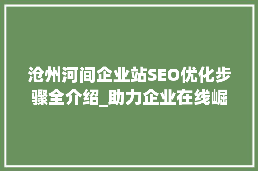 沧州河间企业站SEO优化步骤全介绍_助力企业在线崛起
