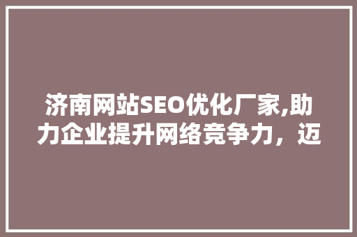 济南网站SEO优化厂家,助力企业提升网络竞争力，迈向成功之路