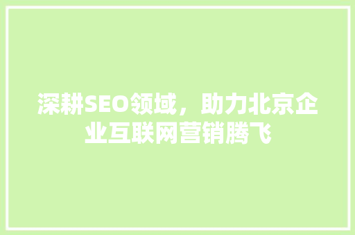 深耕SEO领域，助力北京企业互联网营销腾飞