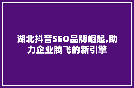 湖北抖音SEO品牌崛起,助力企业腾飞的新引擎