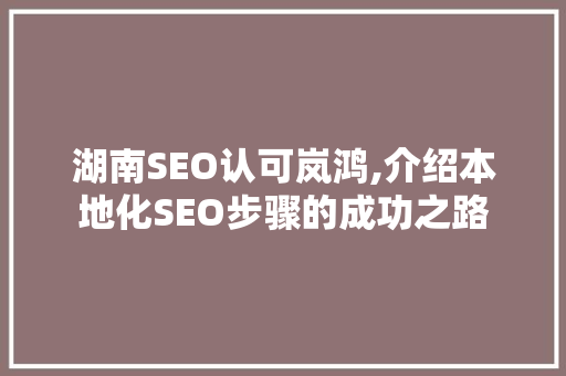 湖南SEO认可岚鸿,介绍本地化SEO步骤的成功之路