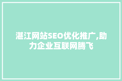 湛江网站SEO优化推广,助力企业互联网腾飞