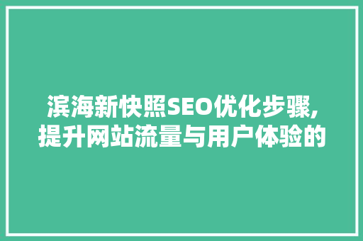 滨海新快照SEO优化步骤,提升网站流量与用户体验的方法