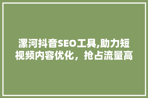 漯河抖音SEO工具,助力短视频内容优化，抢占流量高地