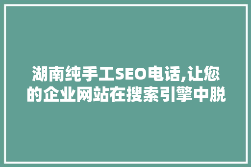 湖南纯手工SEO电话,让您的企业网站在搜索引擎中脱颖而出