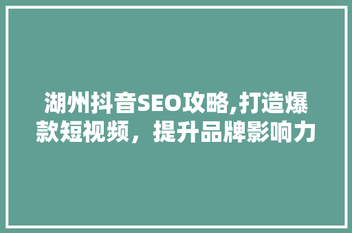 湖州抖音SEO攻略,打造爆款短视频，提升品牌影响力