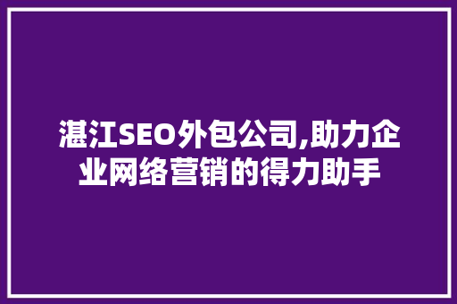 湛江SEO外包公司,助力企业网络营销的得力助手
