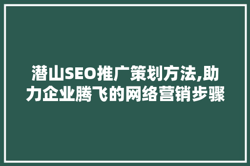 潜山SEO推广策划方法,助力企业腾飞的网络营销步骤