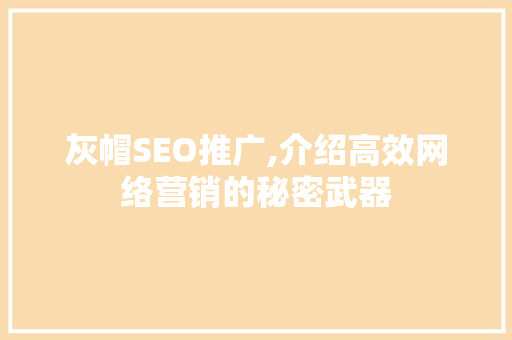 灰帽SEO推广,介绍高效网络营销的秘密武器