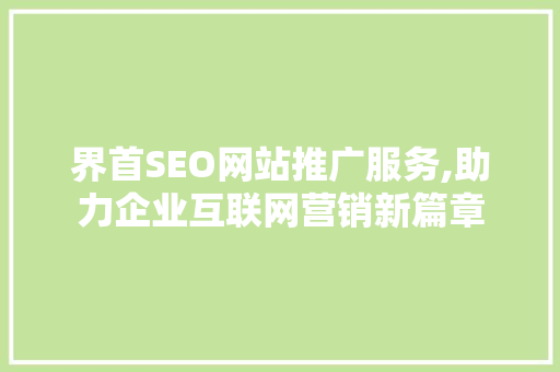 界首SEO网站推广服务,助力企业互联网营销新篇章