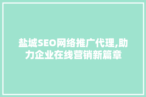 盐城SEO网络推广代理,助力企业在线营销新篇章