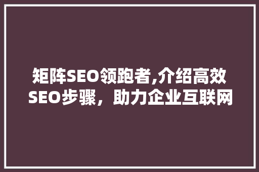 矩阵SEO领跑者,介绍高效SEO步骤，助力企业互联网营销腾飞