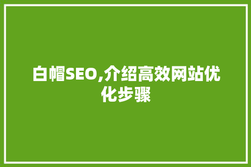 白帽SEO,介绍高效网站优化步骤