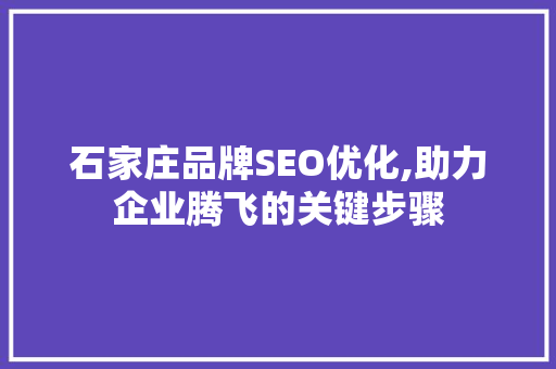 石家庄品牌SEO优化,助力企业腾飞的关键步骤