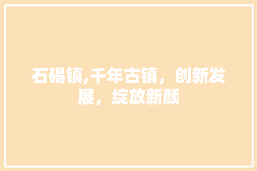 石碣镇,千年古镇，创新发展，绽放新颜