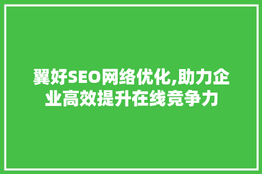 翼好SEO网络优化,助力企业高效提升在线竞争力