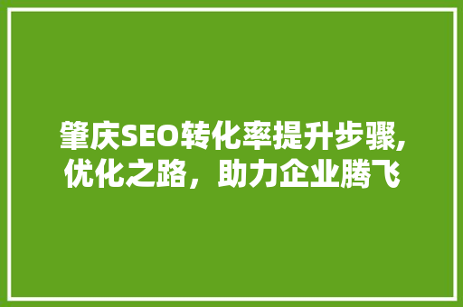 肇庆SEO转化率提升步骤,优化之路，助力企业腾飞