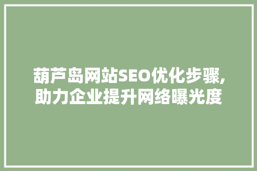 葫芦岛网站SEO优化步骤,助力企业提升网络曝光度