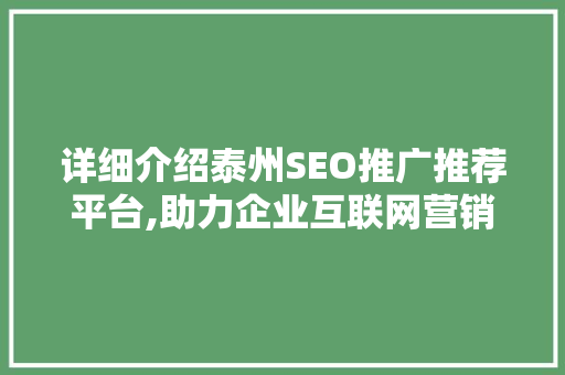详细介绍泰州SEO推广推荐平台,助力企业互联网营销新篇章
