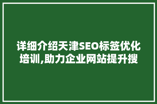 详细介绍天津SEO标签优化培训,助力企业网站提升搜索引擎排名