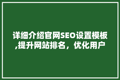 详细介绍官网SEO设置模板,提升网站排名，优化用户体验