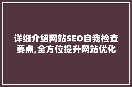 详细介绍网站SEO自我检查要点,全方位提升网站优化效果