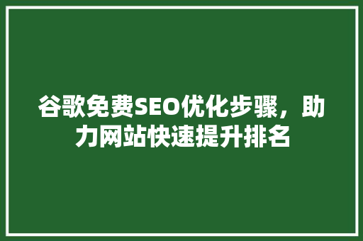 谷歌免费SEO优化步骤，助力网站快速提升排名