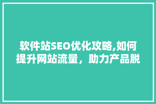 软件站SEO优化攻略,如何提升网站流量，助力产品脱颖而出