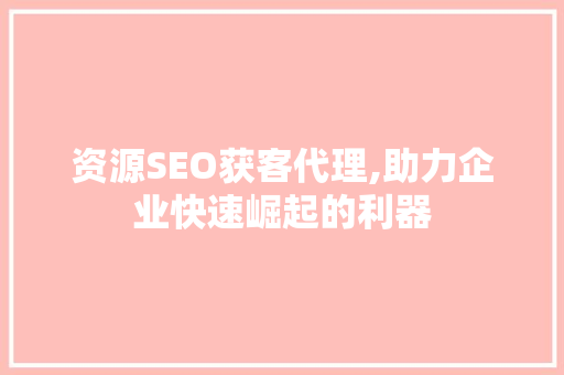 资源SEO获客代理,助力企业快速崛起的利器