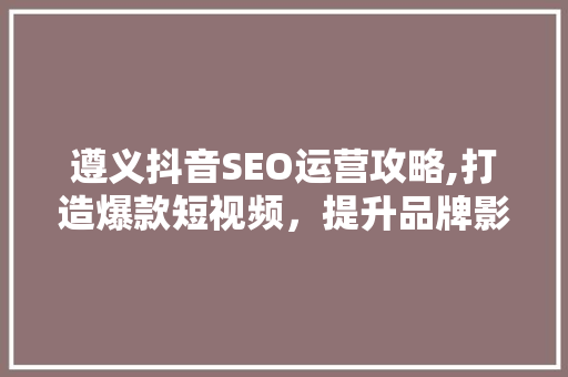 遵义抖音SEO运营攻略,打造爆款短视频，提升品牌影响力