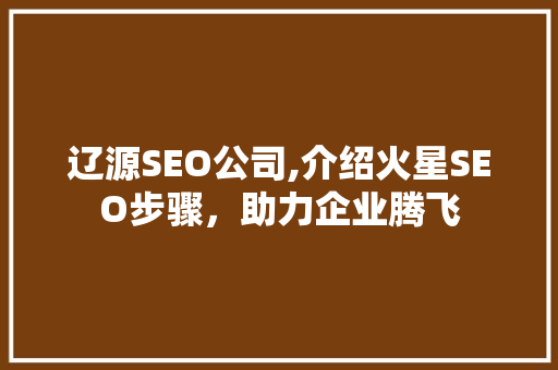 辽源SEO公司,介绍火星SEO步骤，助力企业腾飞