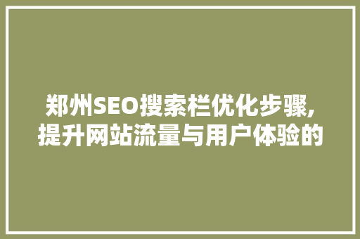 郑州SEO搜索栏优化步骤,提升网站流量与用户体验的关键路径