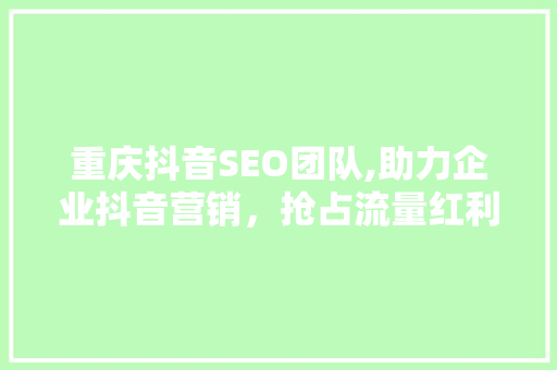 重庆抖音SEO团队,助力企业抖音营销，抢占流量红利