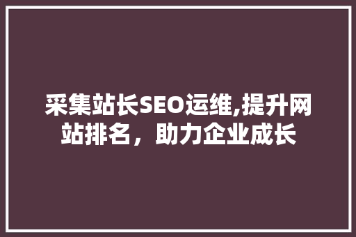 采集站长SEO运维,提升网站排名，助力企业成长